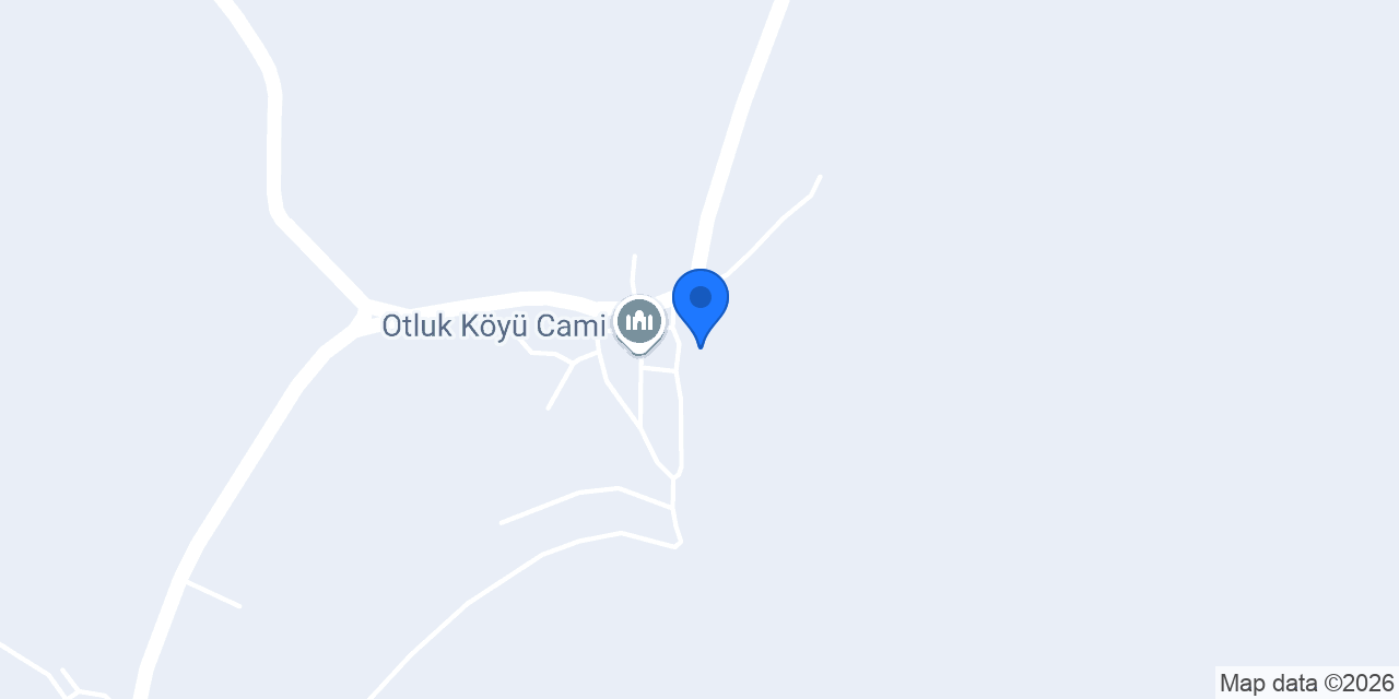CEO TARIM konumu