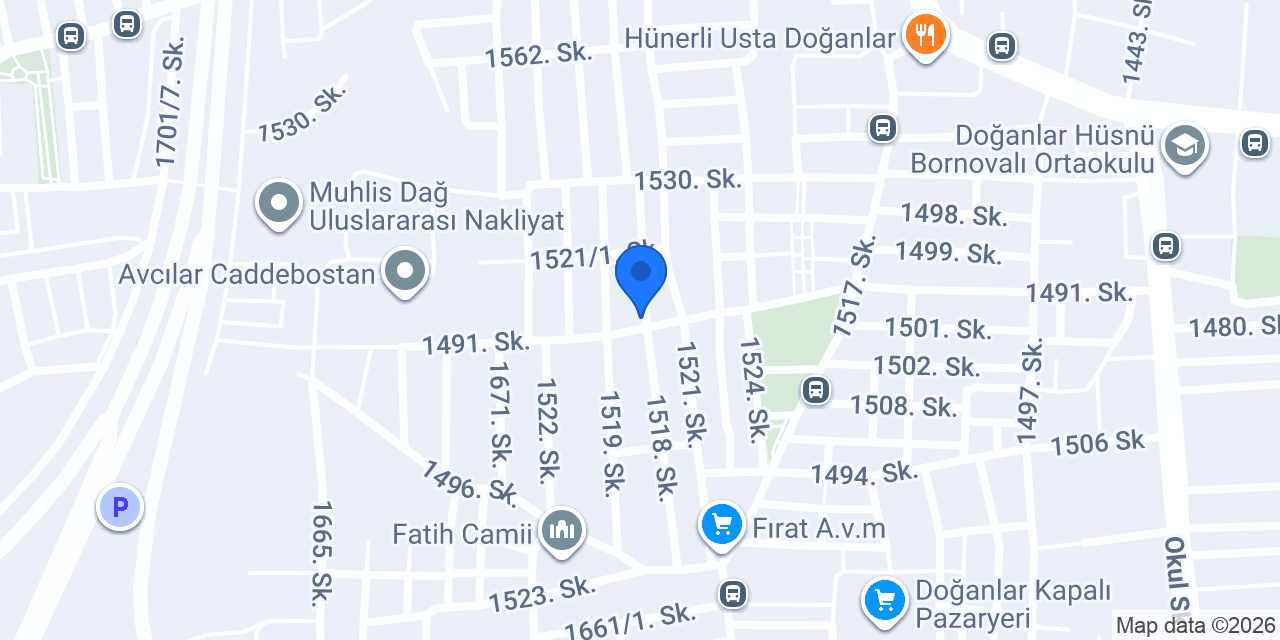 Ege merkez servis konumu