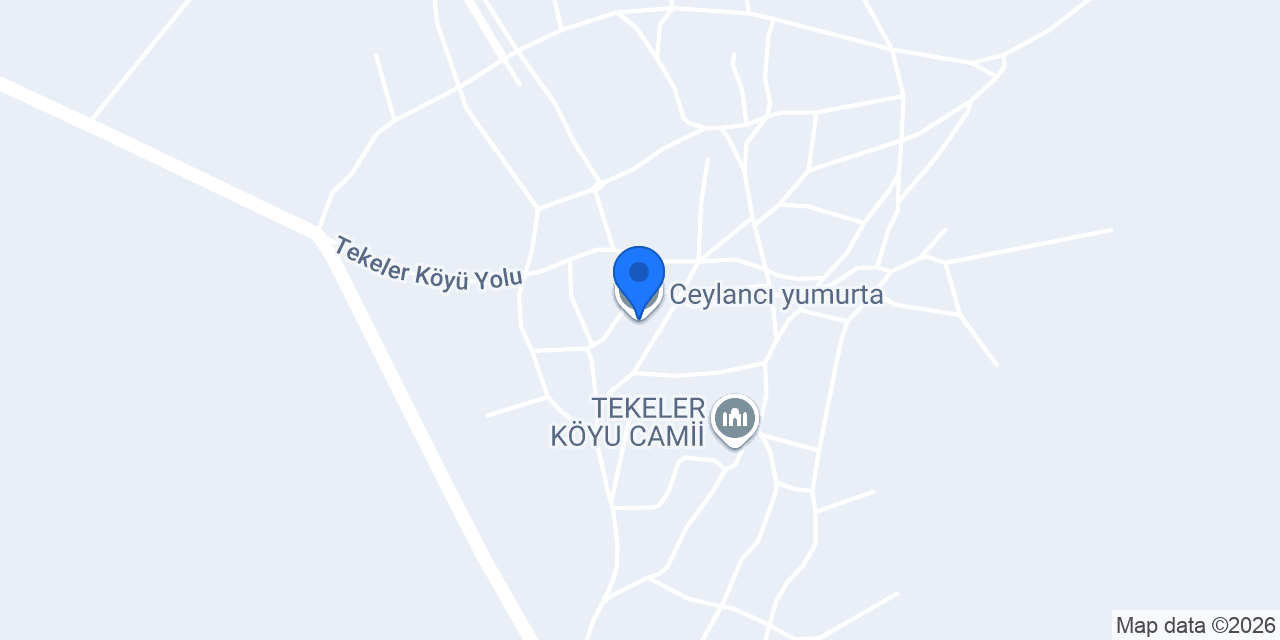 Ceylancı yumurta konumu