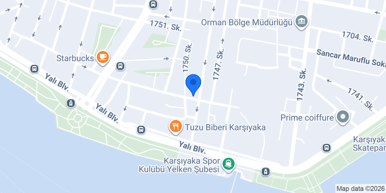 Saray Kuru Temizleme konumu