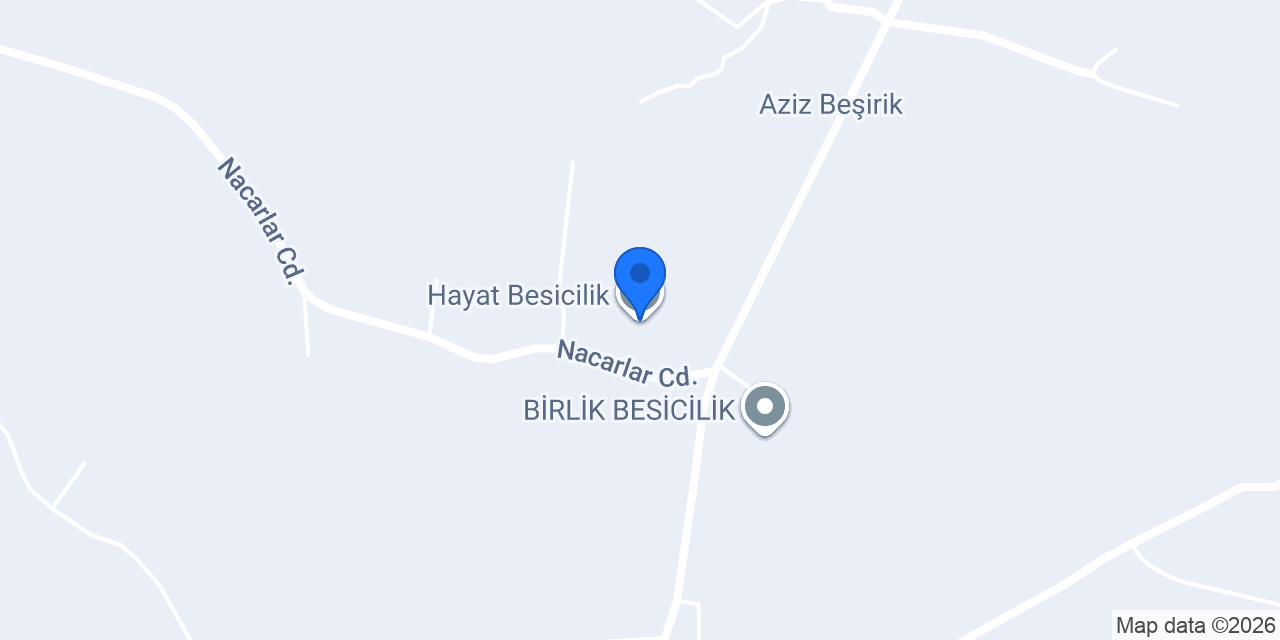 Hayat Besicilik konumu