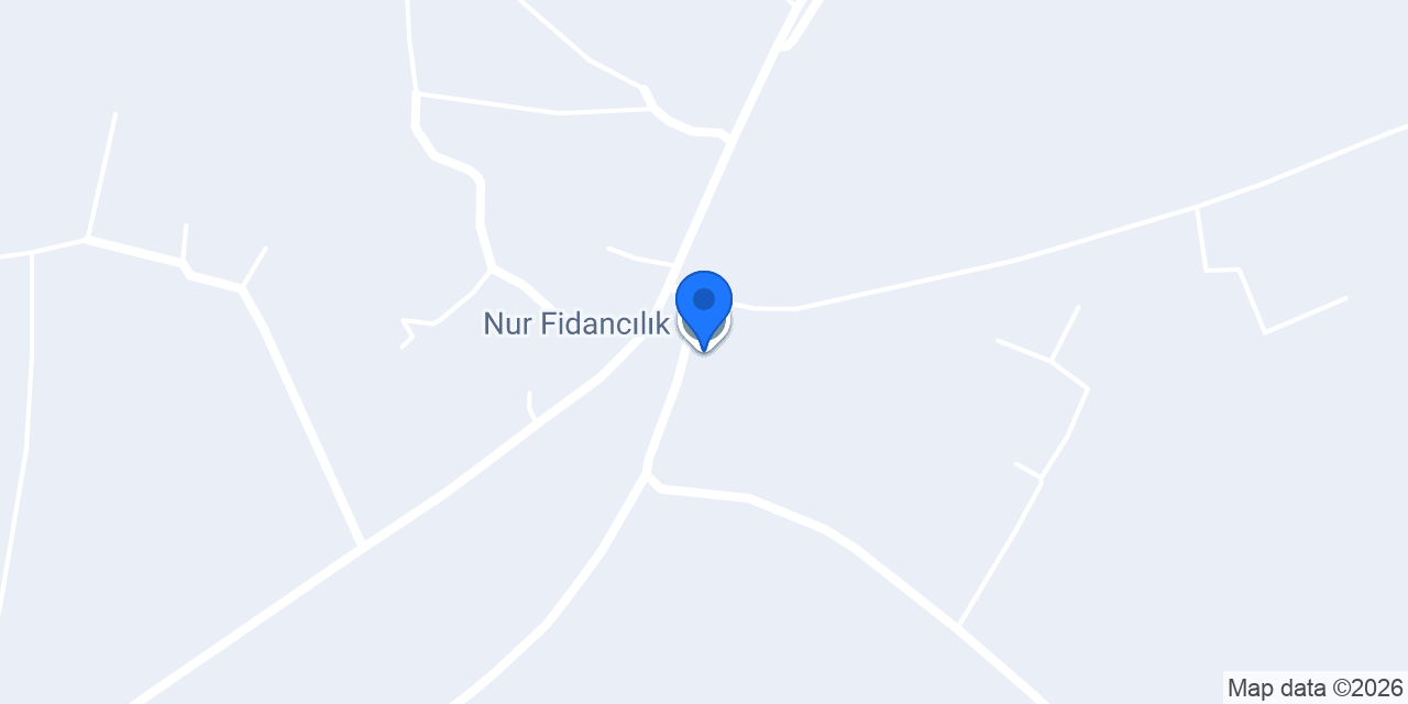 Nur Fidancılık konumu