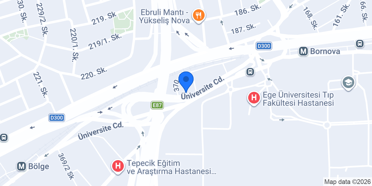 Bornova Pansiyon konumu
