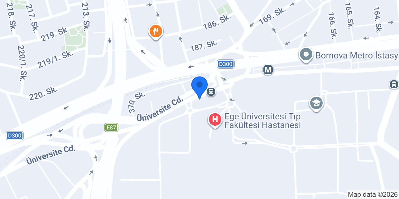 Bornova lastikçi konumu