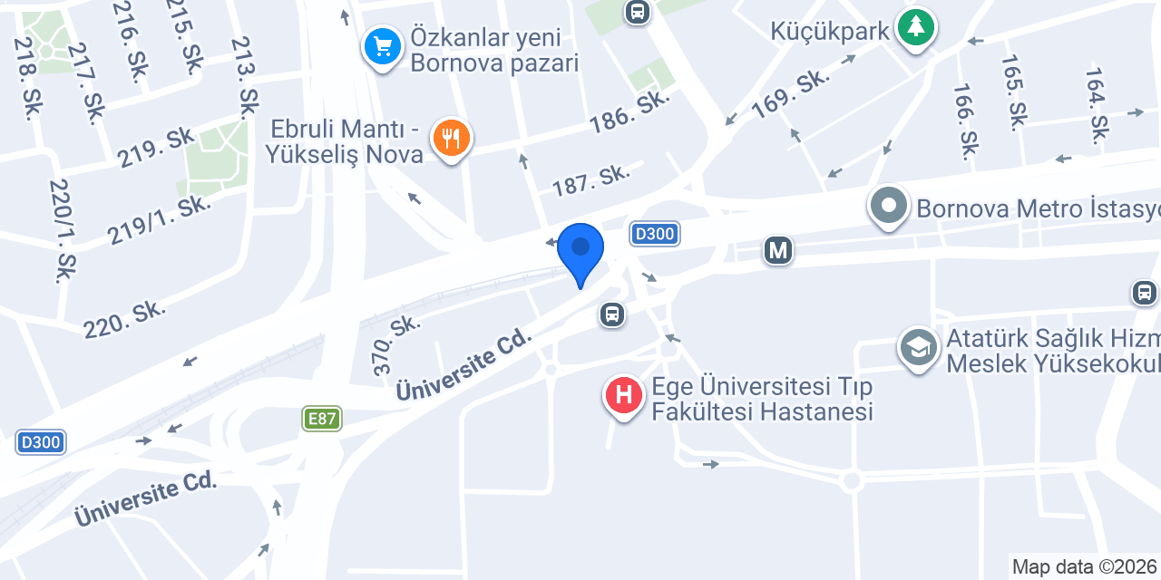 Üniversite Optik konumu