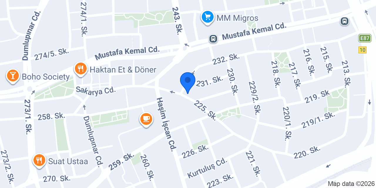 Domino's Pizza Özkanlar konumu