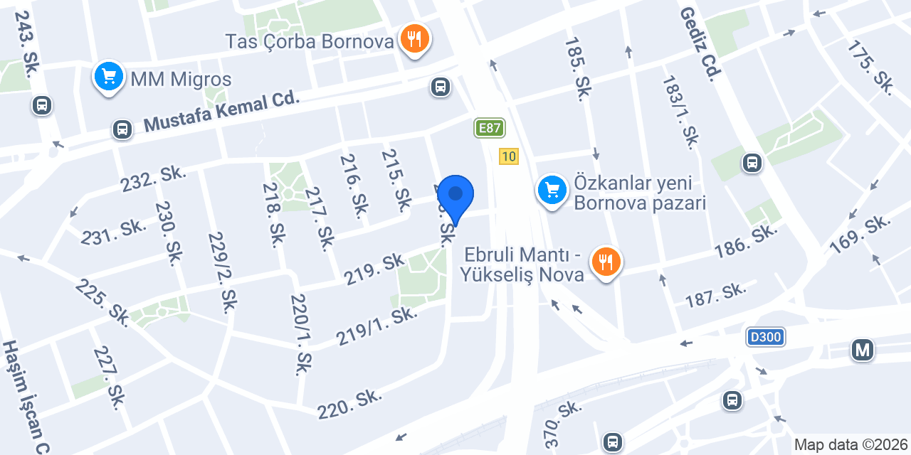 Bornova Palanduz Eczane konumu