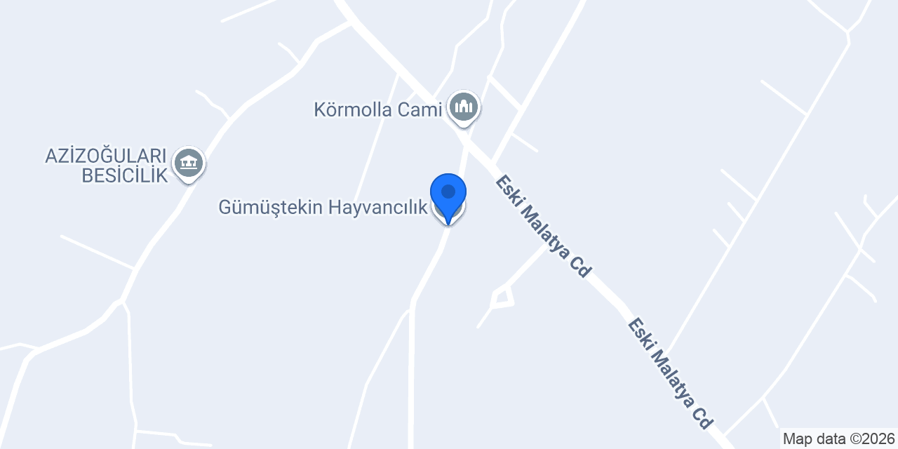 Gümüştekin Hayvancılık konumu
