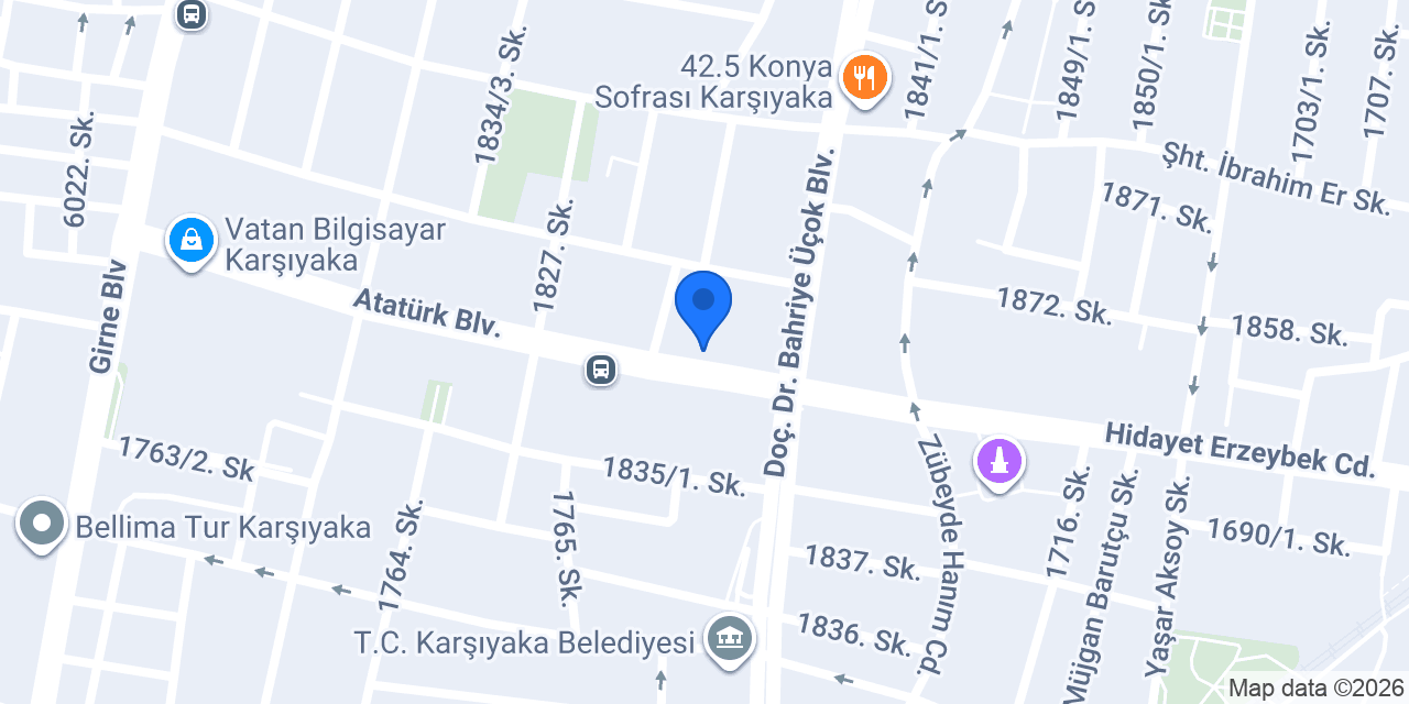 Arman Kuru Temizleme konumu