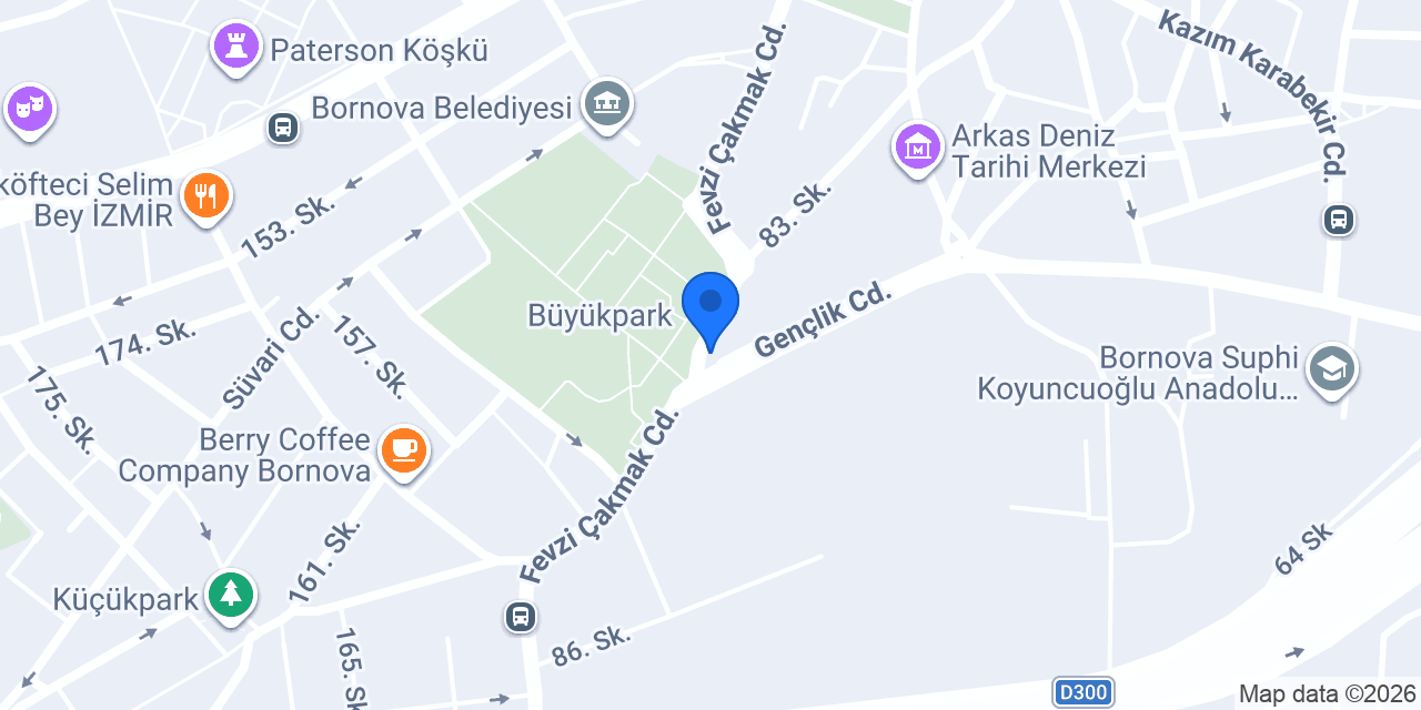 Park Taksi konumu