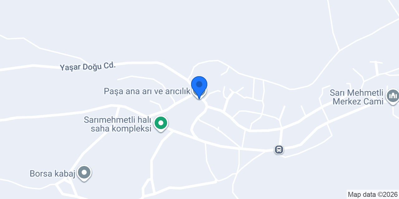 Paşa ana arı ve arıcılık konumu