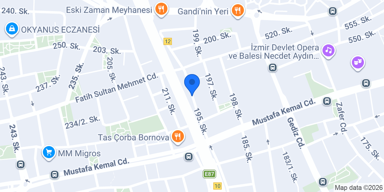 Bornova elektrik konumu