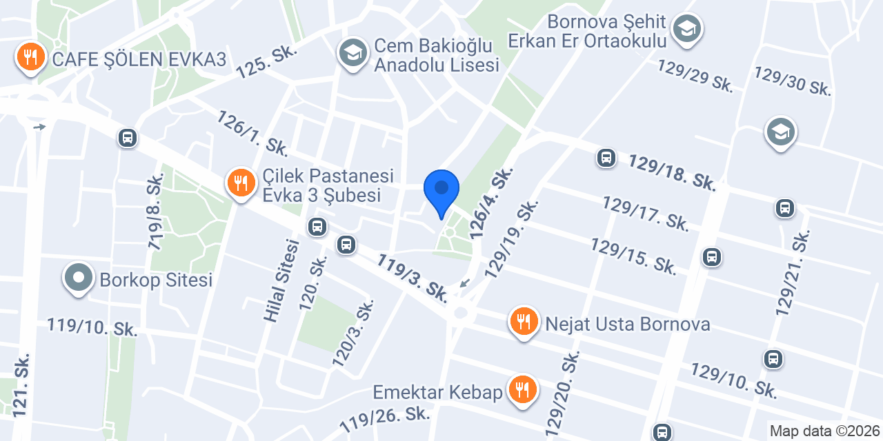 Orkide Aktif yaşam konumu