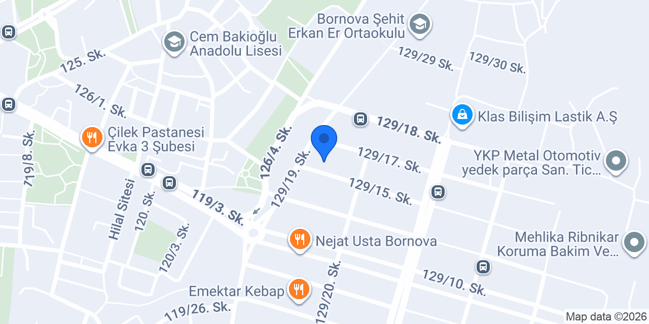 Başaran Renault Özel Servis konumu