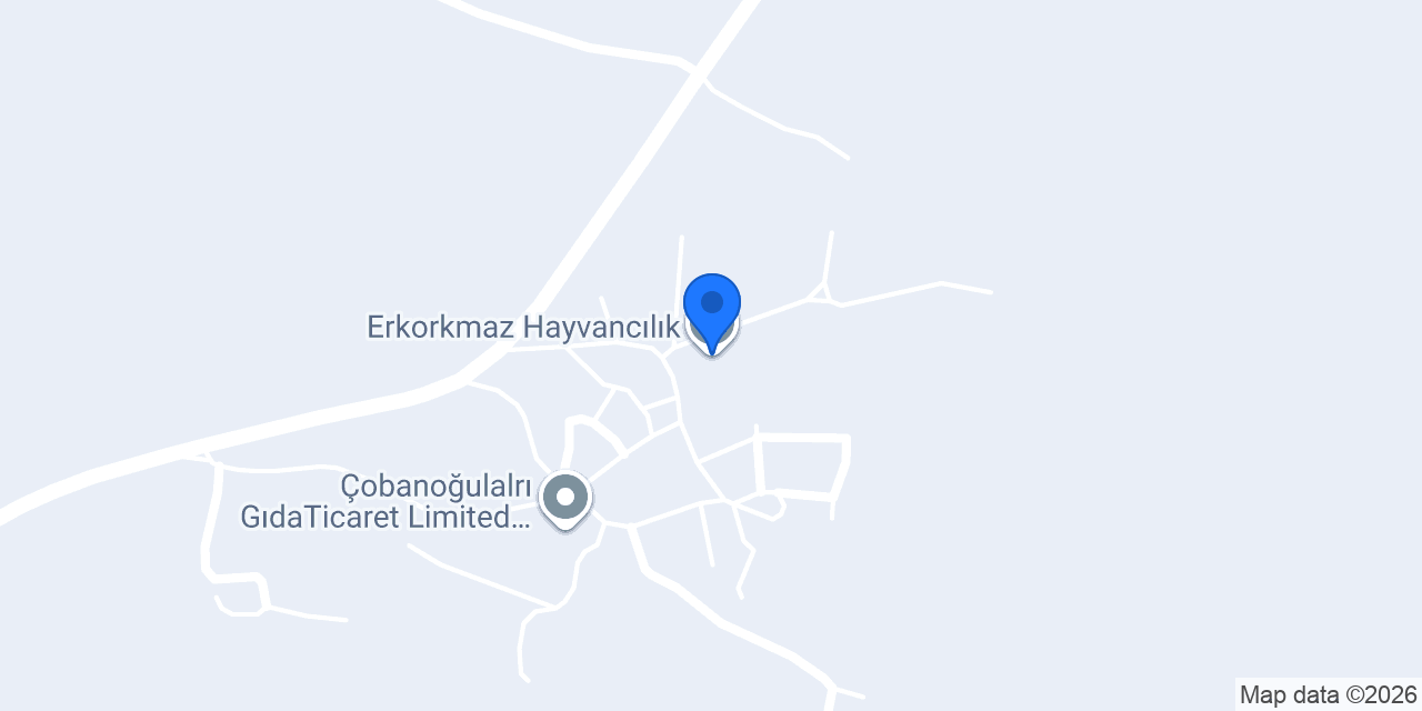 Erkorkmaz Hayvancılık konumu
