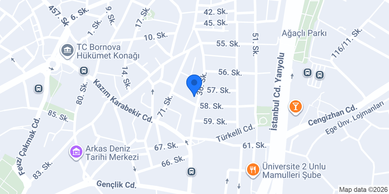 Bornova asansör kiralama konumu