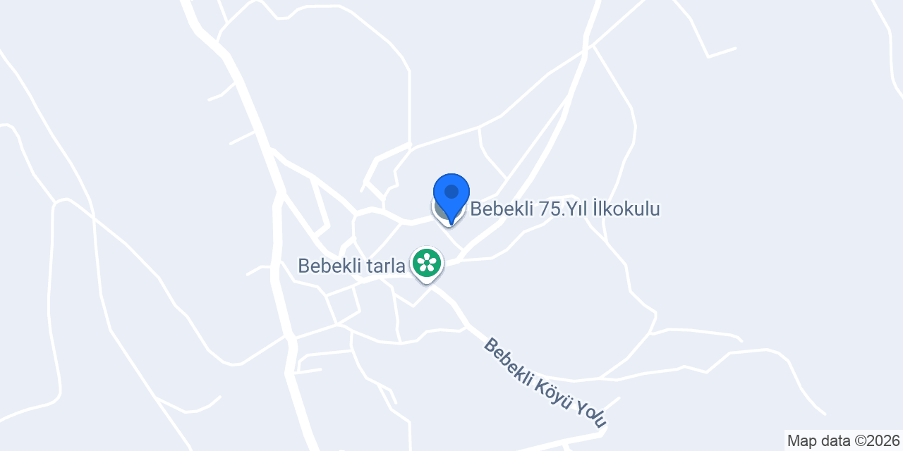 Bebekli 75.yıl İlkokulu konumu