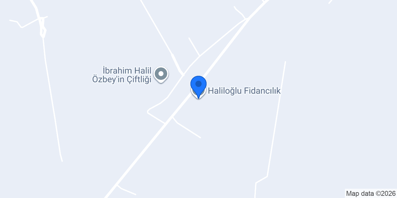 Haliloğlu Fidancılık konumu