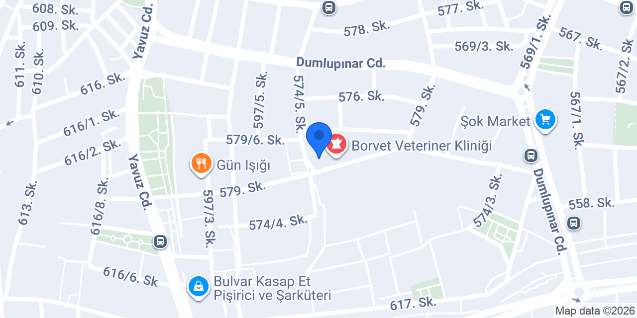 Dora Kids Bayraklı konumu