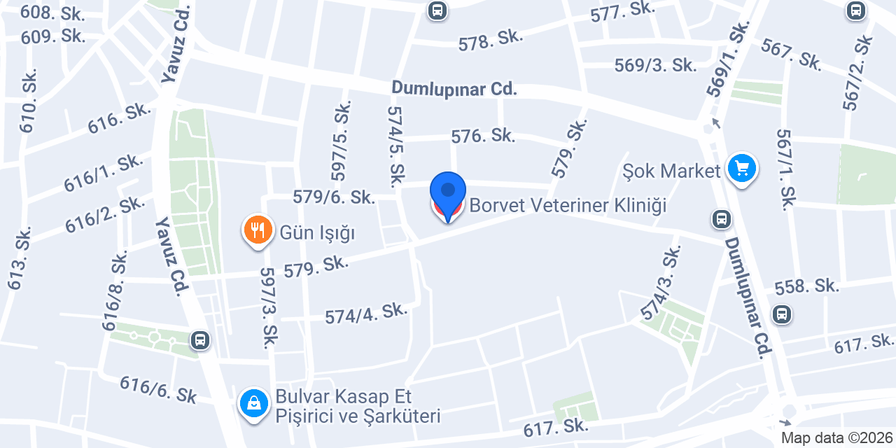 Borvet Veteriner Kliniği konumu