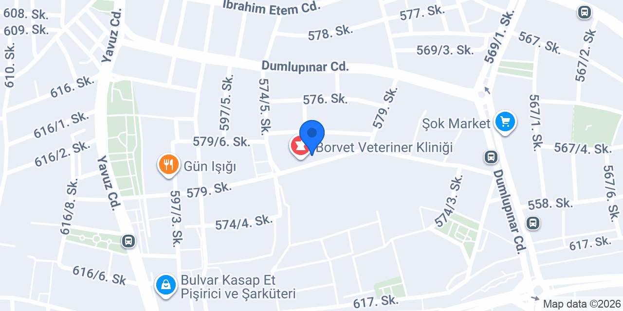 Sardunya Eczanesi konumu