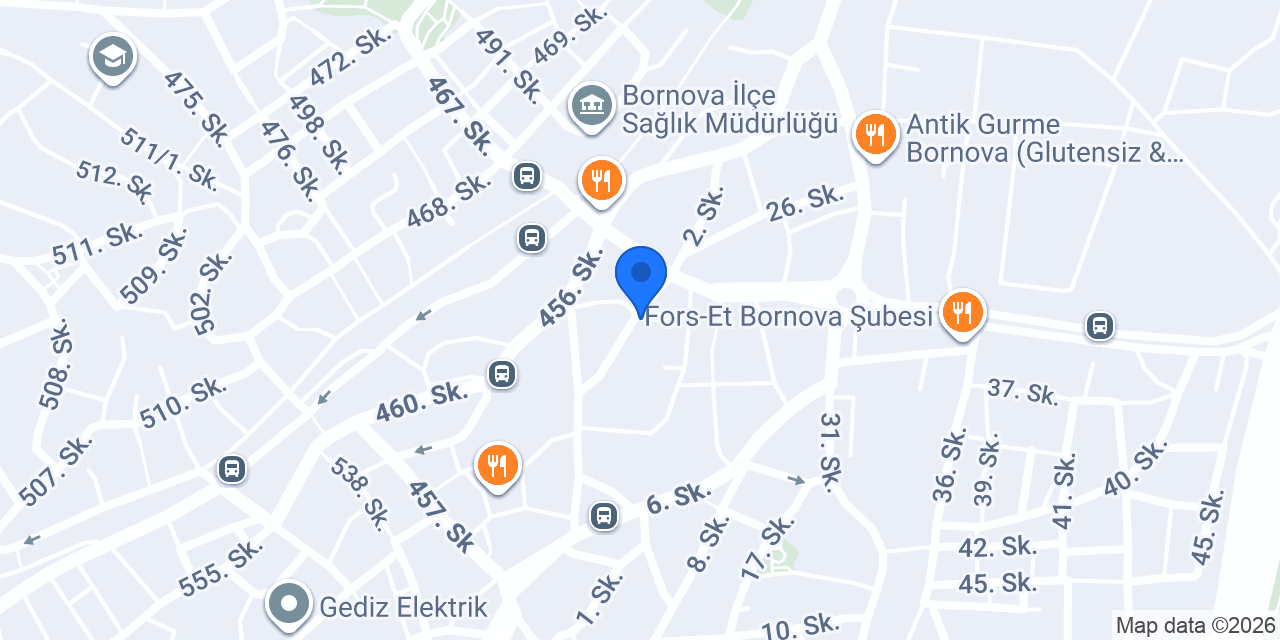 Pasaport Pizza Bornova Erzene konumu