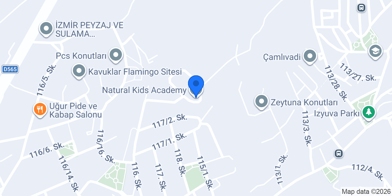 Natural Kids Academy konumu