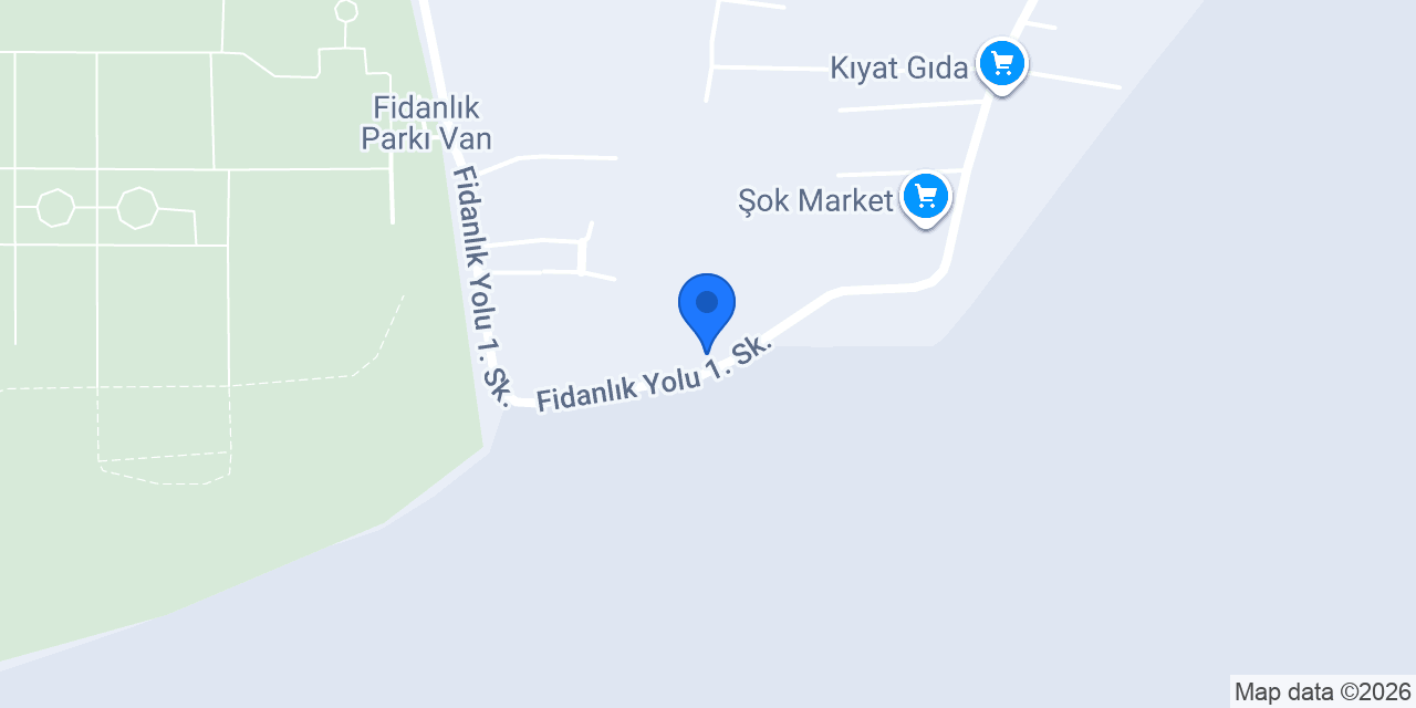 BEYTAT YUMURTA konumu