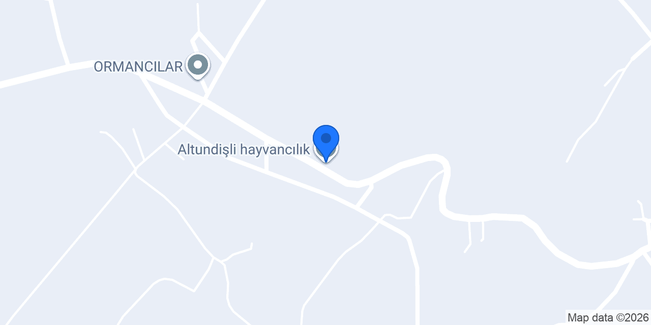 Altundişli hayvancılık konumu