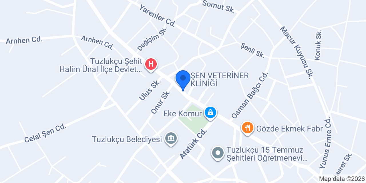 Petlas konumu