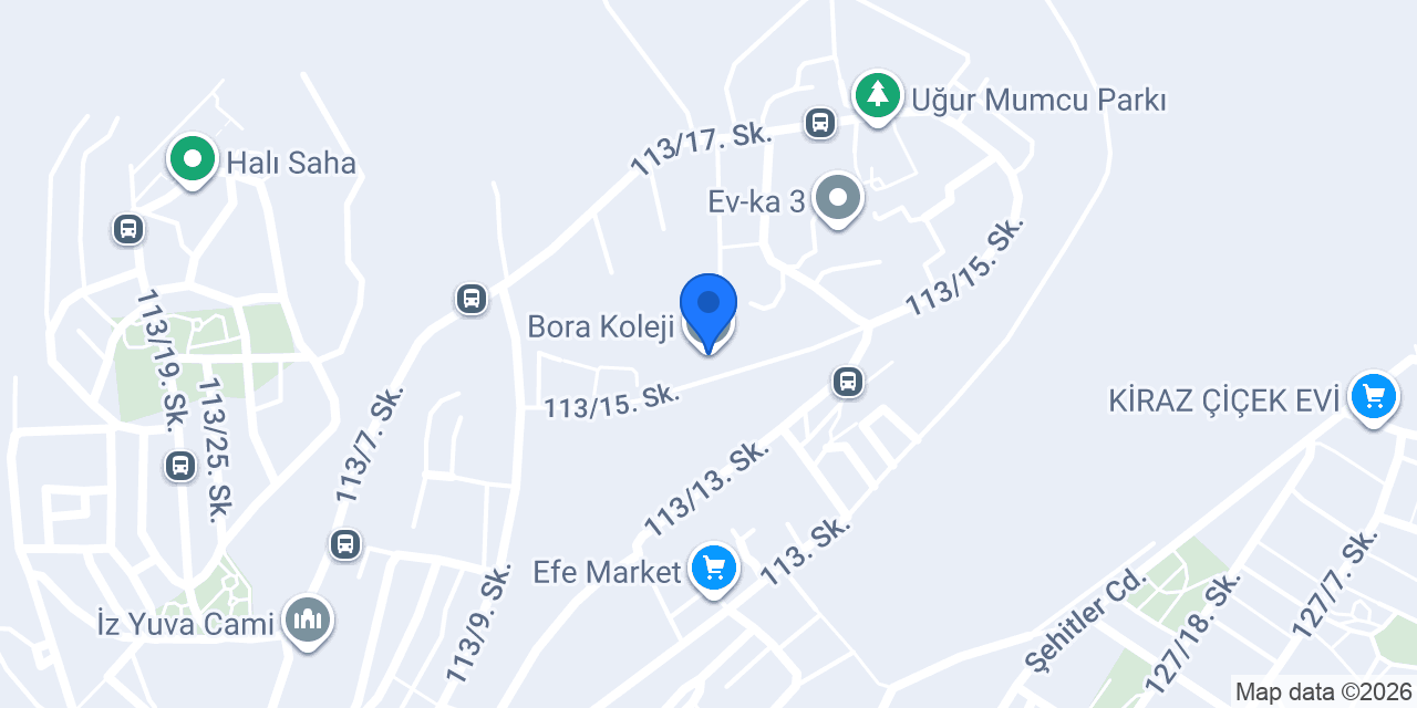 Bora Koleji konumu