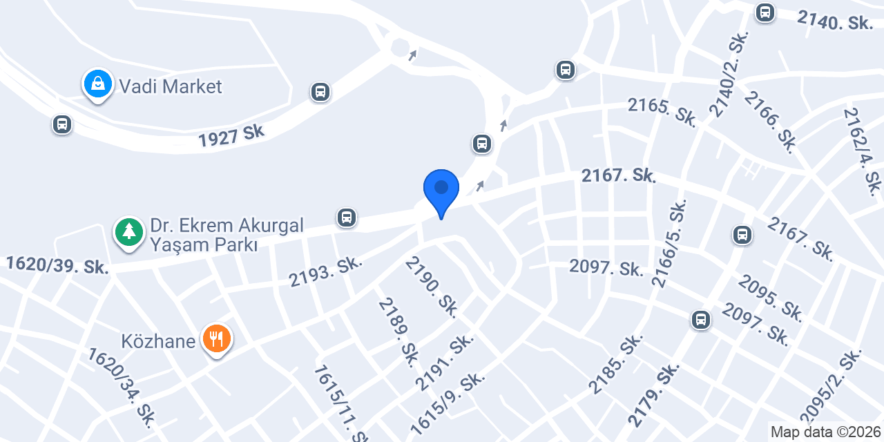 Saylas otolastik konumu