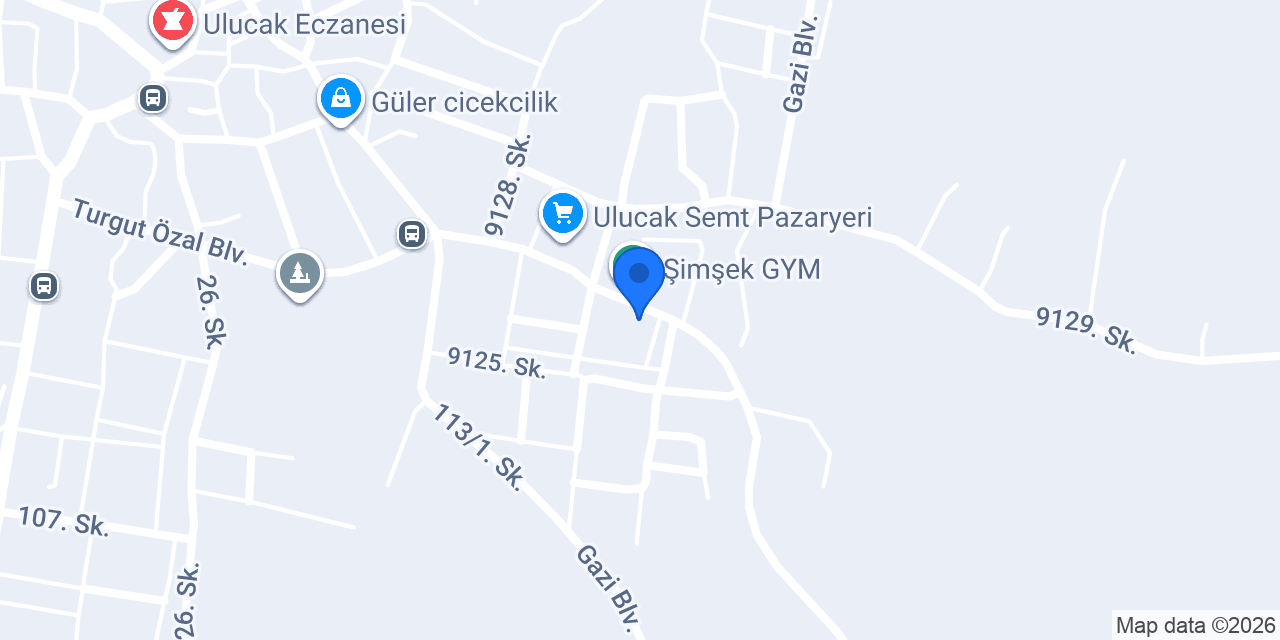 Adivor Halı konumu