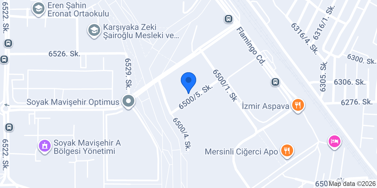 İrina Danışmanlık konumu
