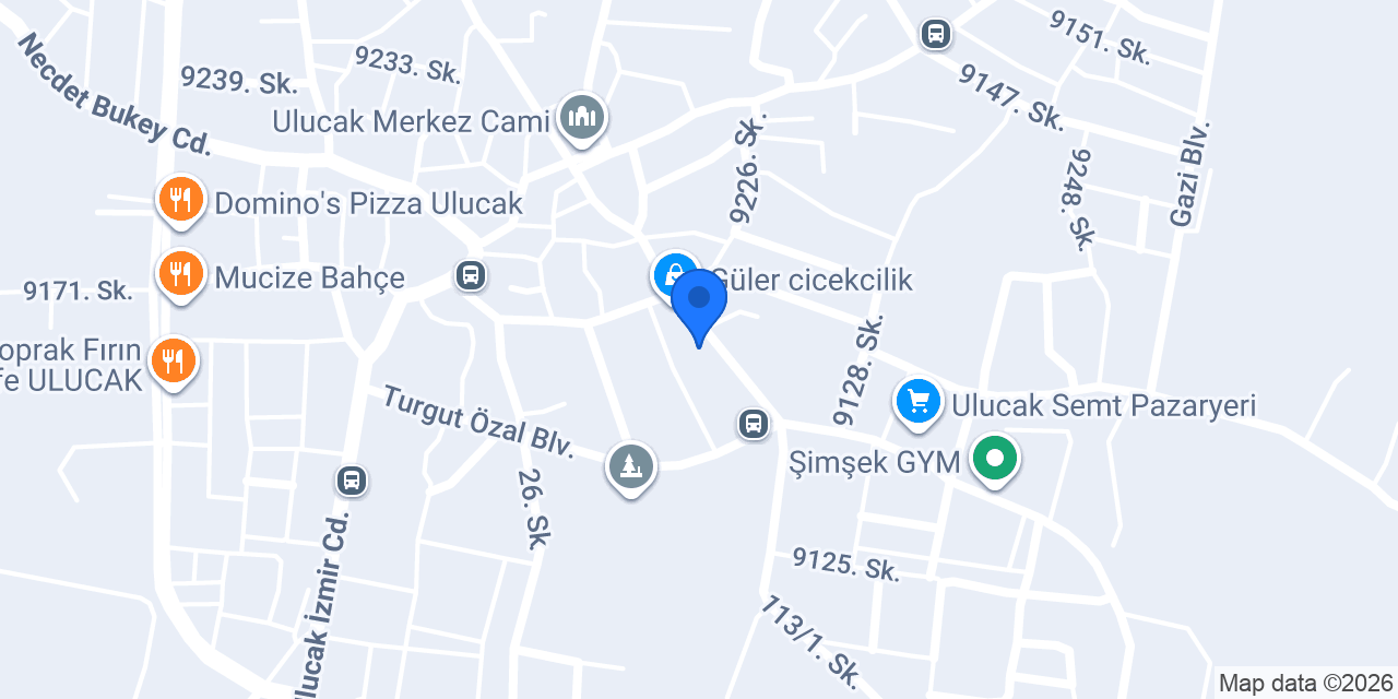 Kemalpaşa elektrik konumu