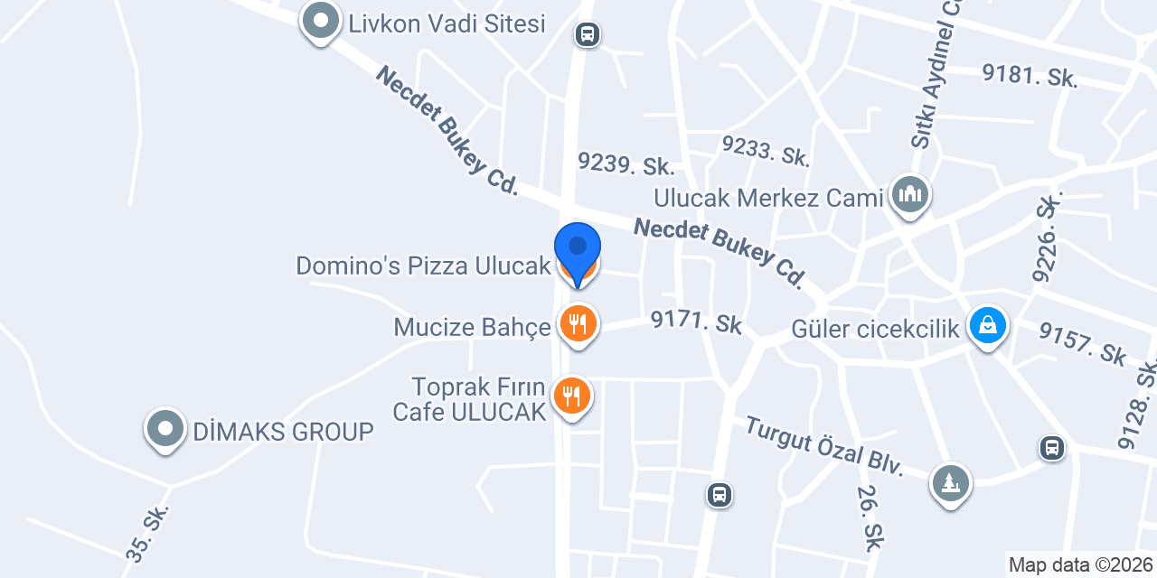 Domino's Pizza Ulucak konumu