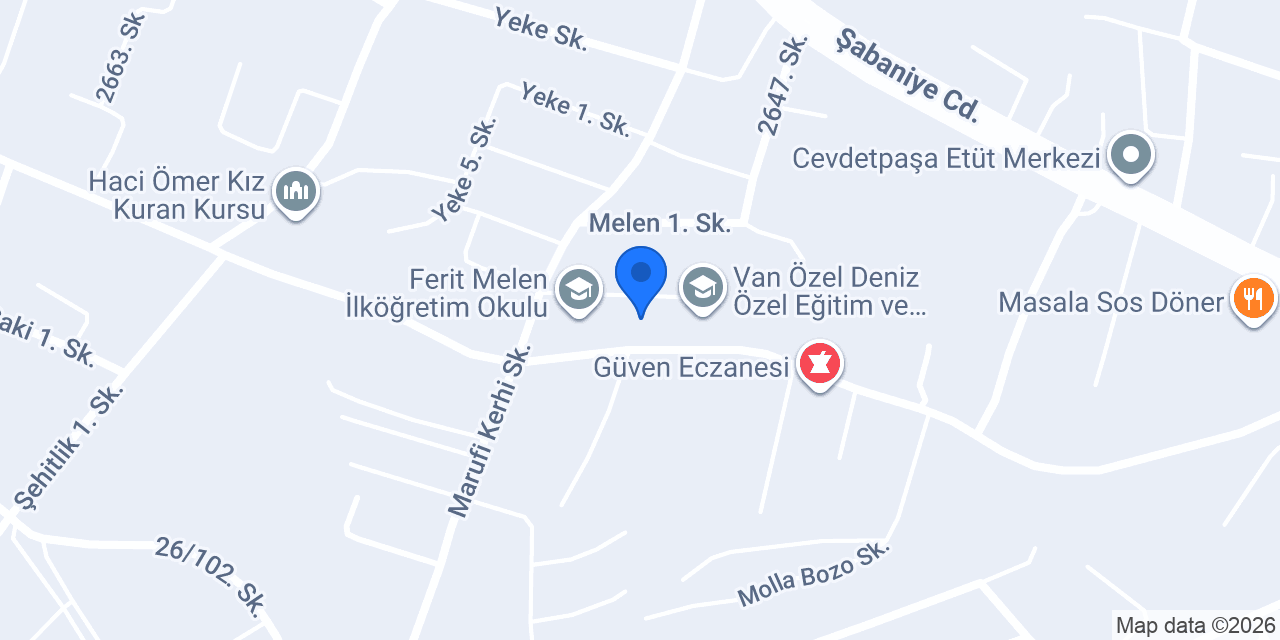 Van Taxi online konumu