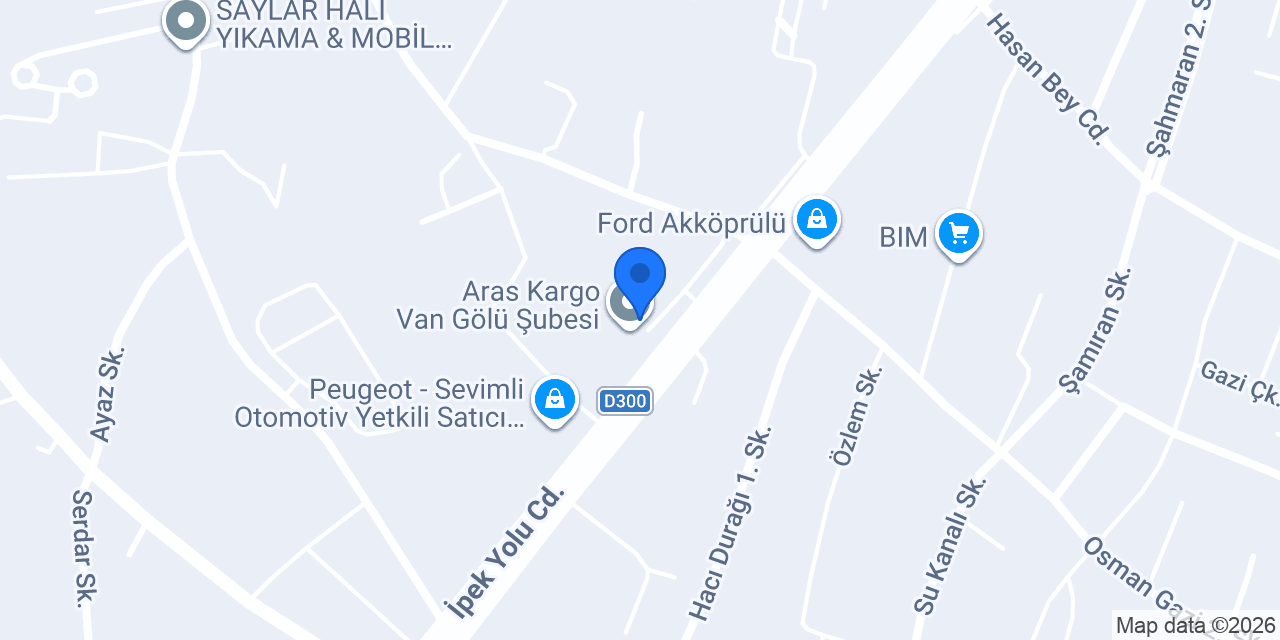 van Star Oyuncak konumu