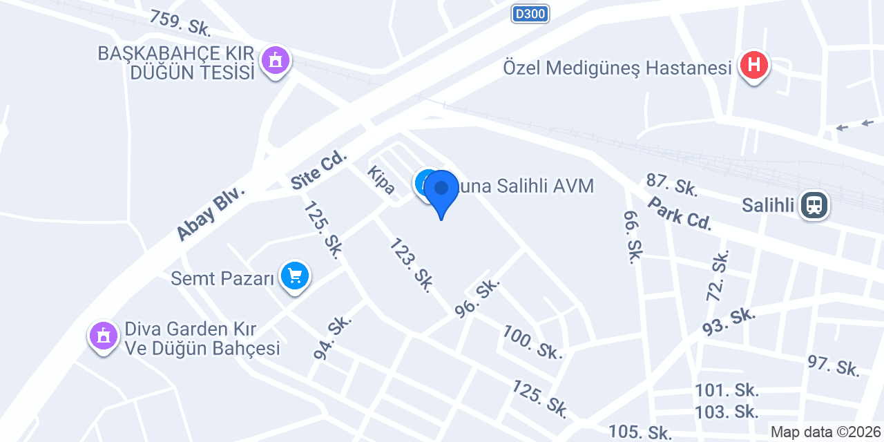 Sir Winston Pub Salihli konumu