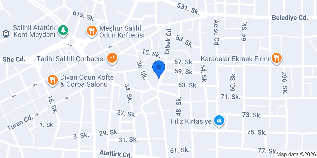 Aslan teknik konumu