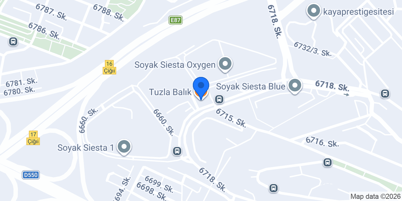 Tuzla Balık konumu