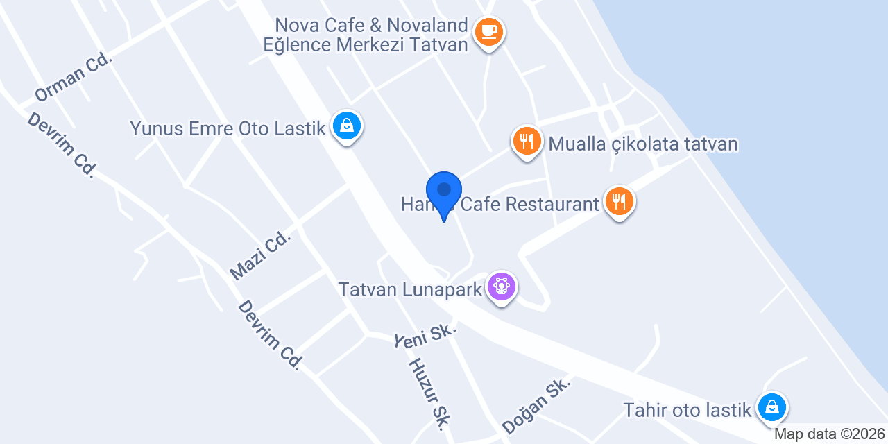Elezan organizasyon konumu