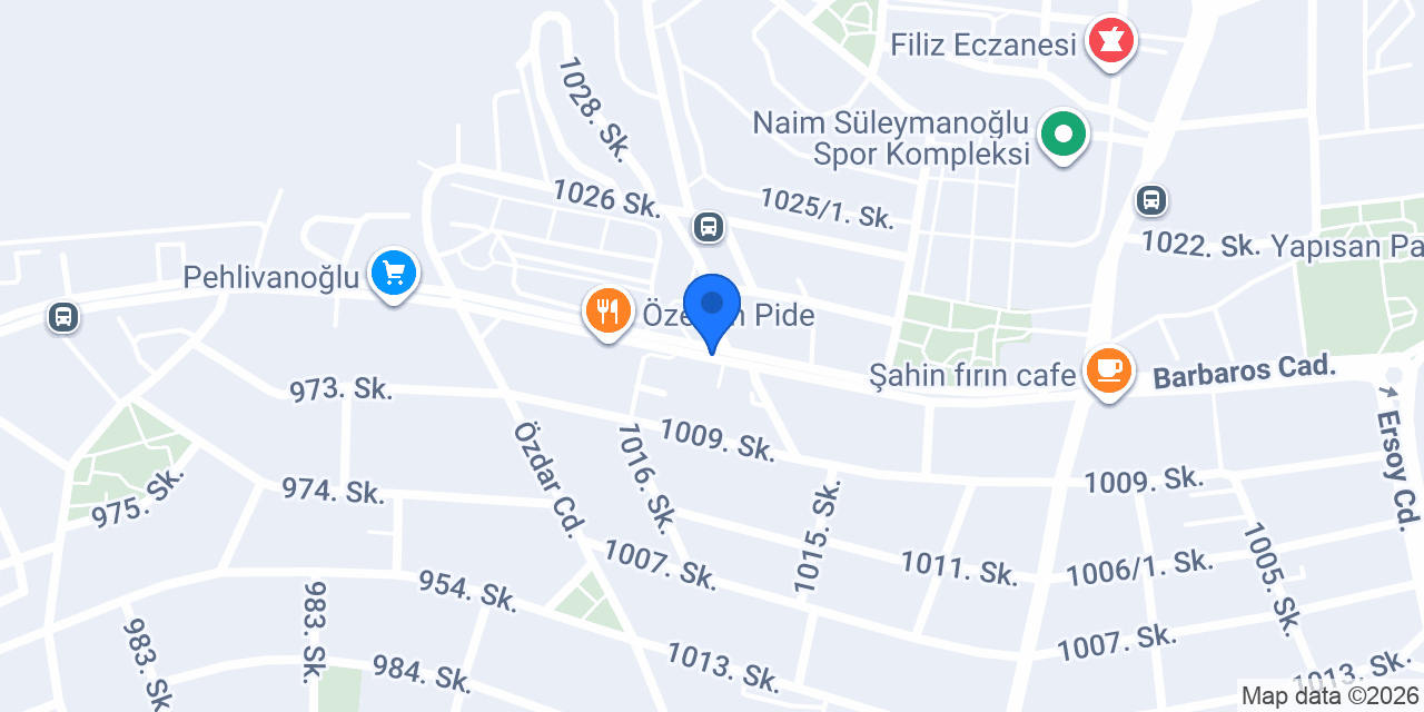Ege Aliş Halı Yıkama konumu