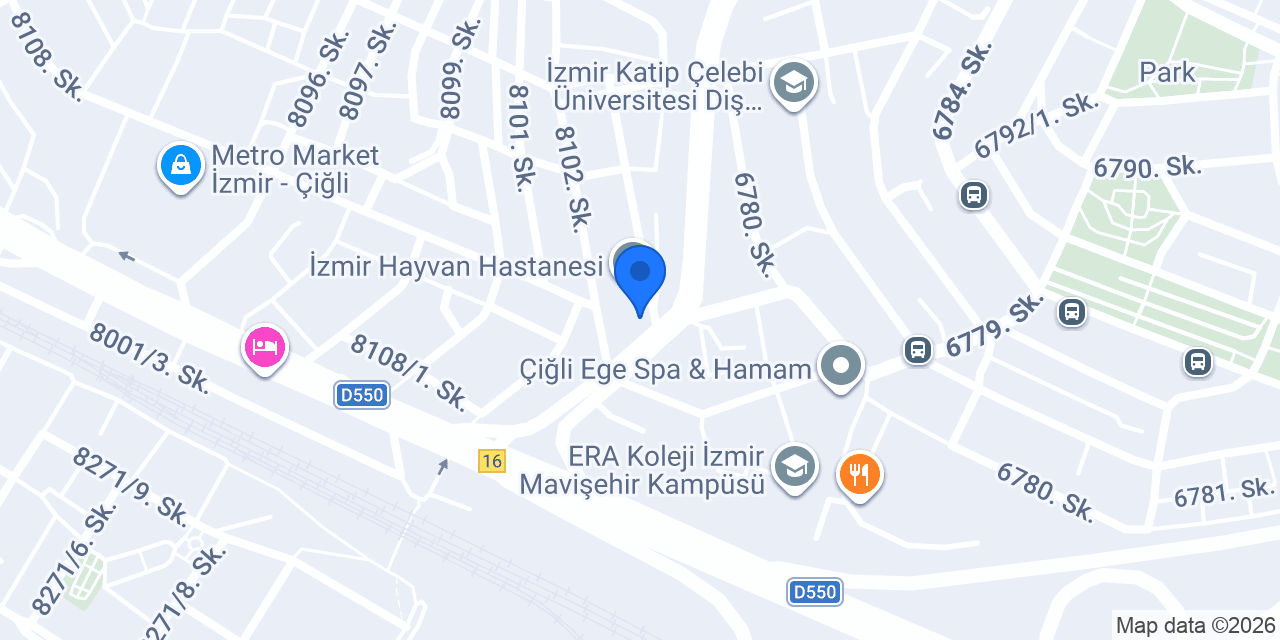 Orantı kurs konumu