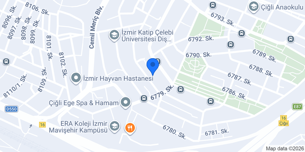 Akademidisleksi konumu
