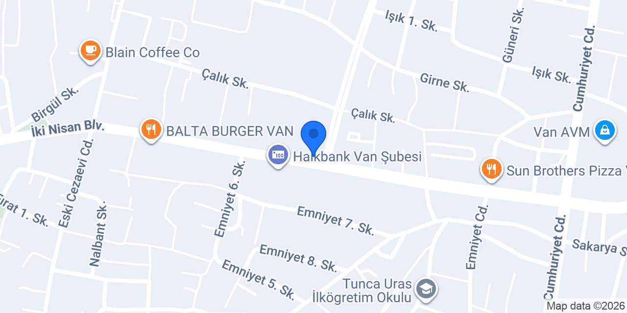 Aris Ezgi Doğan Van VIP konumu