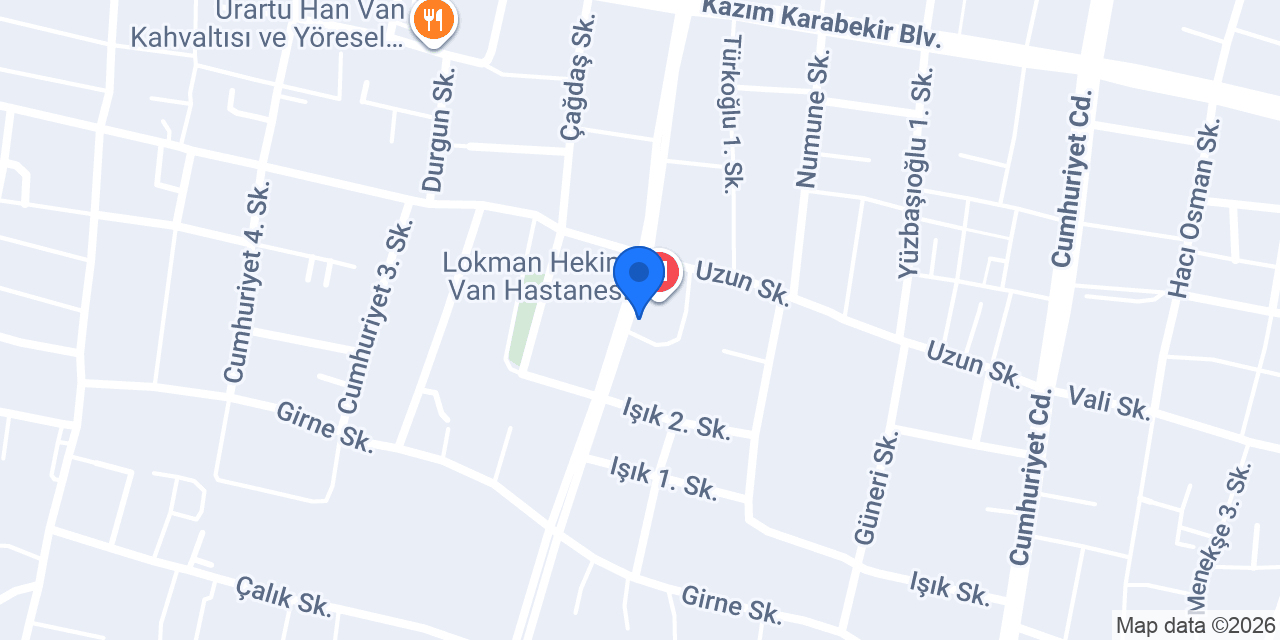 Bülent Börekçilik Van Lokman Hekim konumu