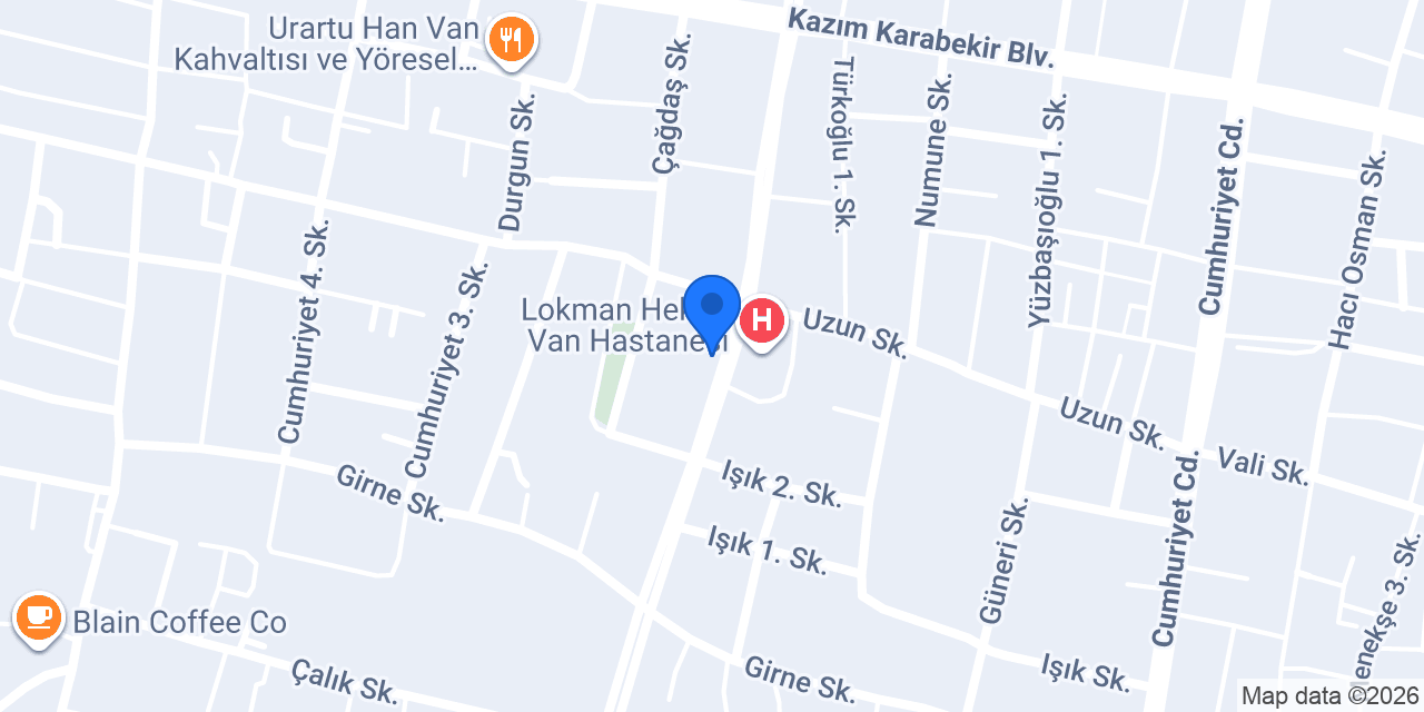 Van Kaya Psikoteknik konumu