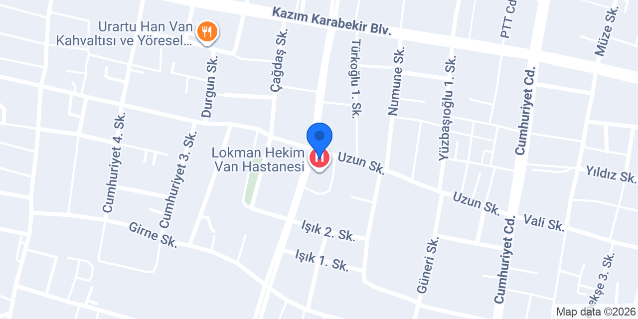 Serkan Taksi Van konumu