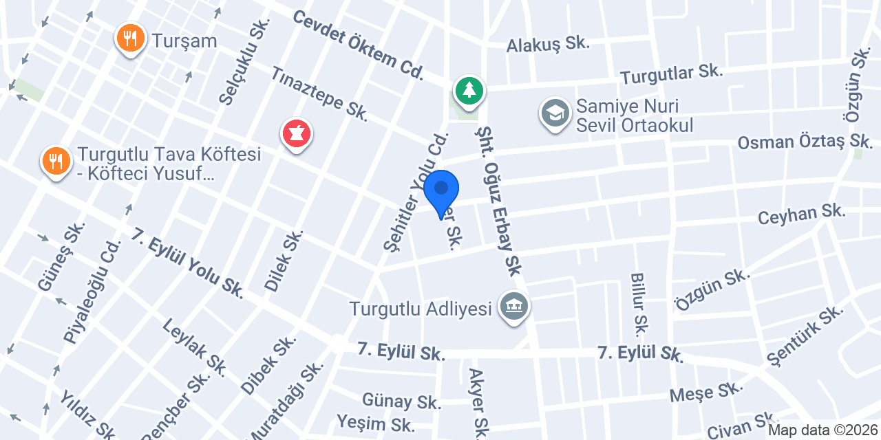 Aslan spot turgutlu konumu